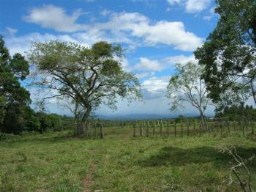 Ocean View Lots for Sale in Highlands of Panama