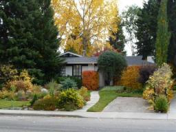 Beautiful Makoi Bungalow in Oakridge - 2907 Oakmoor Dr SW