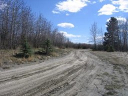 1.98 Acres in Bearspaw