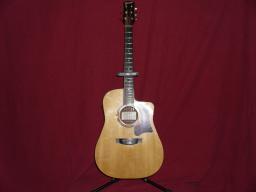 Garrison Acoustic D50 Guitar 