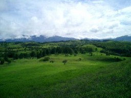 Gated Community In the Highlands of Panama