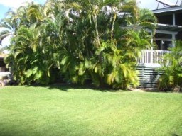 Gorgeous Maui Hawaii Home